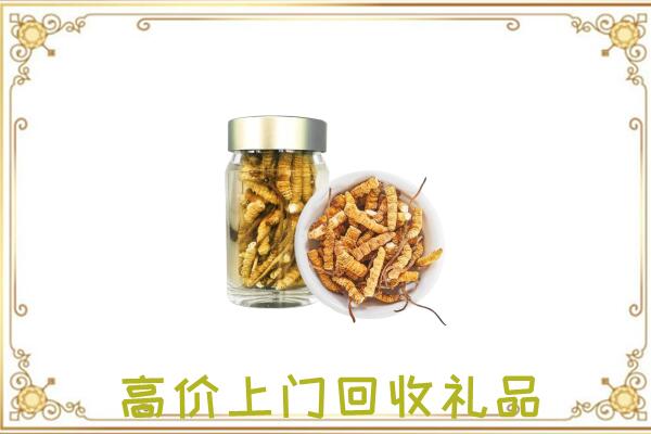 玉树周边回收虫草